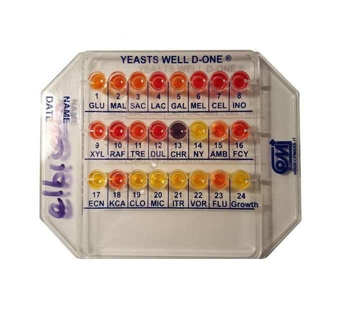 Система YEASTS Well D-ONE для исследования грибков