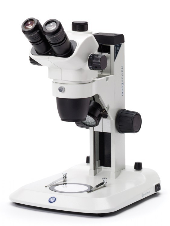 Стереомикроскопы NexiusZoom (EVO) Euromex